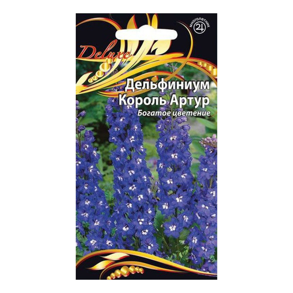 Amazon.com: Blue Delphinium