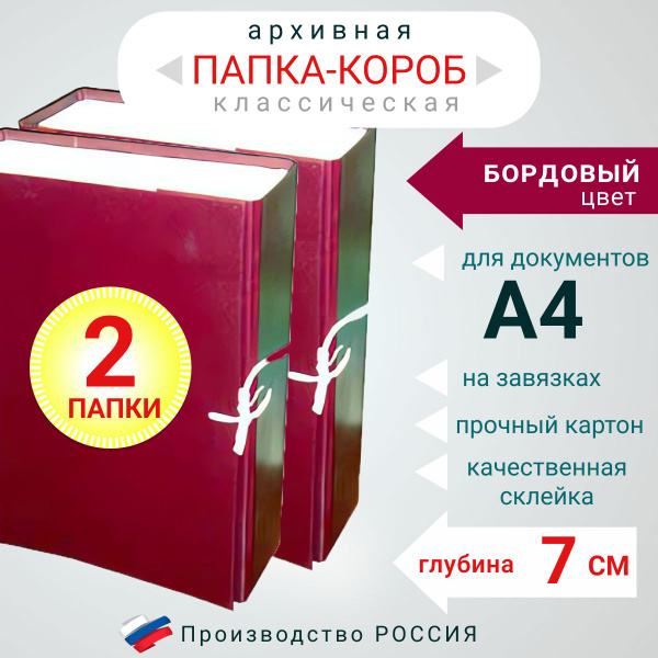 Набор из 2-х штук Папка архивная для бумаг А4 с завязками, Короб ...