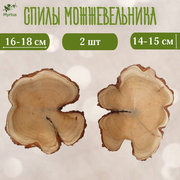 Спилы можжевельника 2 шт. - купить с доставкой по выгодным ценам в ...