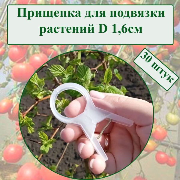 Прищепка для растений 30 штук D1,6см цвет белый / Подвязка для растений ...
