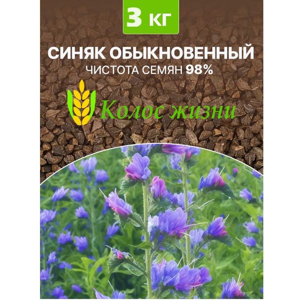 Синяк обыкновенный - 3 кг семена для посева. купить на OZON по низкой ...