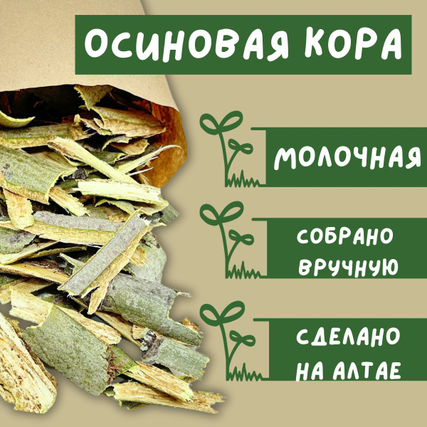 Кора осины молочная - купить с доставкой по выгодным ценам в интернет ...