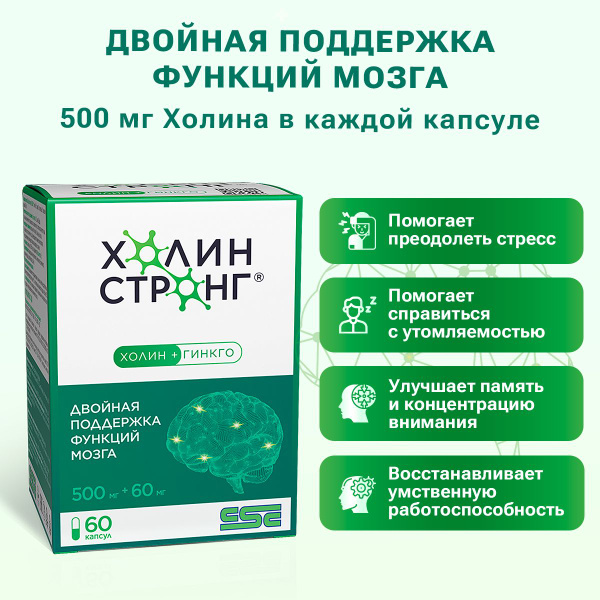 Холин Стронг, Гингко билоба 60 мг Холин 500 мг Биоперин ,улучшает ...