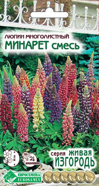Люпин Евросемена Люпин - купить по выгодным ценам в интернет-магазине ...