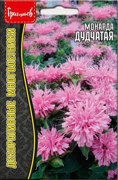 Монарда, Бергамот Григорьев Монарда Дудчатая - купить по выгодным ценам ...