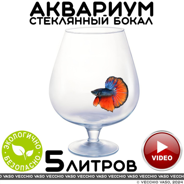 Аквариум для рыбок круглый бокал 5 литров - купить с доставкой по ...