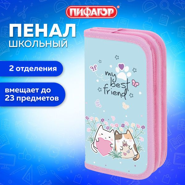 Пенал школьный для девочек для карандашей и ручек с 2 отделениями ...