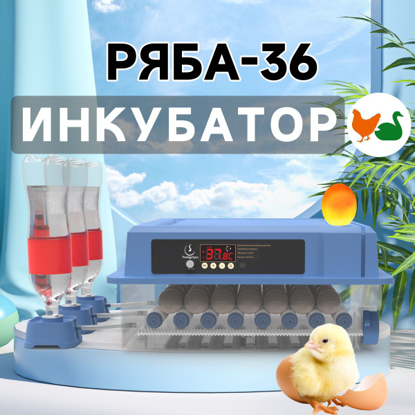 Инкубатор для яиц автоматический Р36 с терморегулятором, гигрометром ...