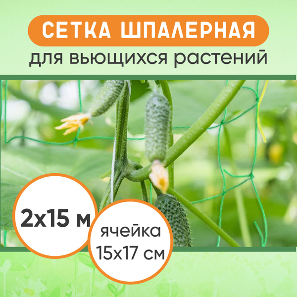 Сетка шпалерная для вьющихся растений 2х15 м ячейка 15х17 см - купить с ...