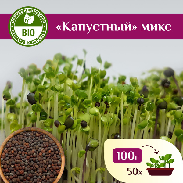 Микс семян Капустный для проростков и микрозелени, Ильинские проростки ...