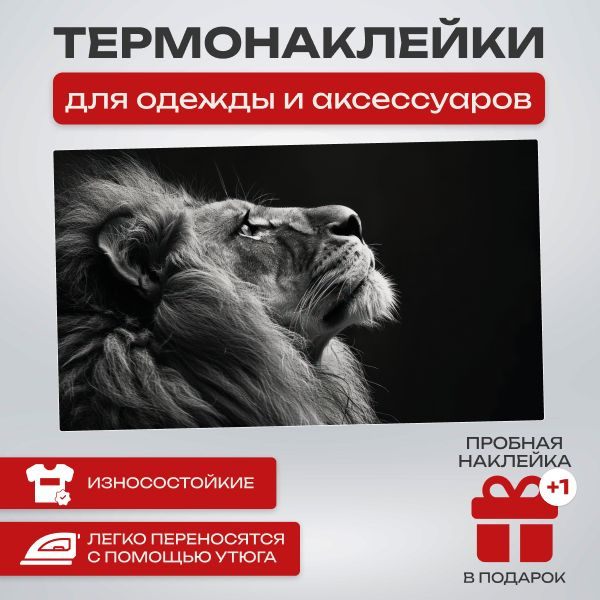 Термонаклейка на одежду большая - купить с доставкой по выгодным ценам ...