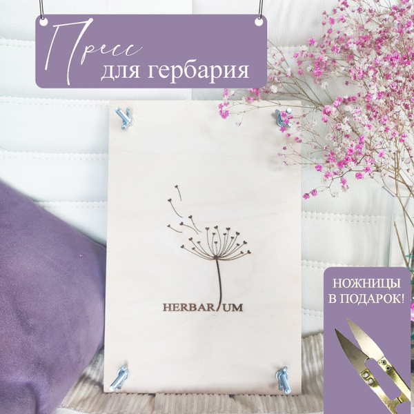 Характеристики Пресс для гербария. Пресс для сушки листьев подробное ...