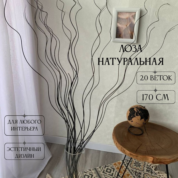 Сухоцвет для декора ветки ЛОЗА натуральная ветки 20 штук 170 см ...
