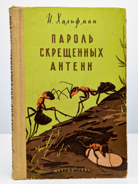 Пароль скрещенных антенн купить на OZON по низкой цене (1671583276)
