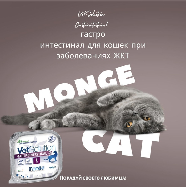 Ветеринарная диета Monge VetSolution Cat Gastrointestinal гастро ...
