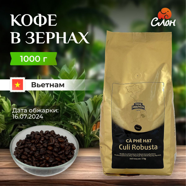 Вьетнамский кофе в зернах Кули Робуста (Culi Robusta) - Trung Nguyen ...