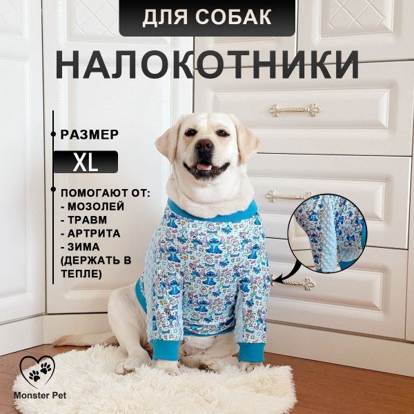 Бандаж ортопедический для животных купить на OZON по низкой цене ...