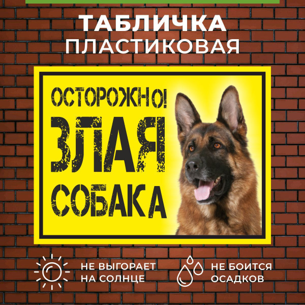 Табличка Осторожно злая собака на забор купить на OZON по низкой цене ...