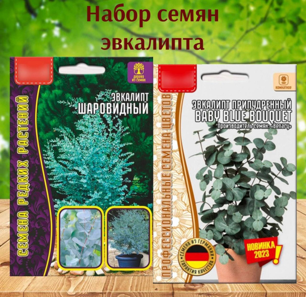 Семена цветов многолетник Эвкалипт набор 2 уп. - купить по выгодным ...