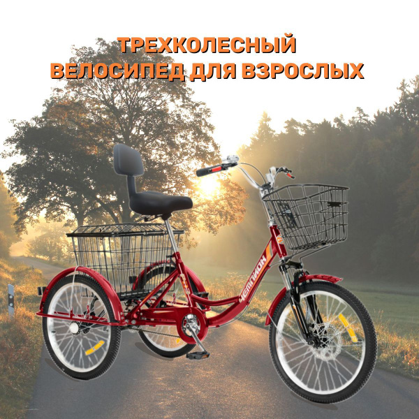 Трехколесный велосипед для взрослых СЕДЛО СО СПИНКОЙ РВЗ Чемпион ...