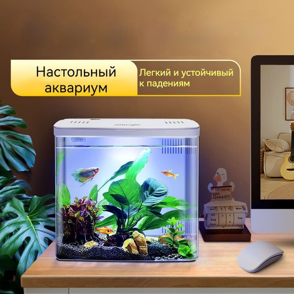 Мини-аквариум для рыб в гостиной купить на OZON по низкой цене (1764716617)