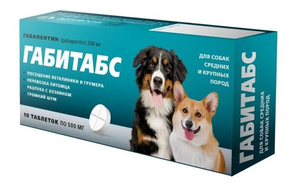 Габапентин габитабс. Габапентин габитабс
