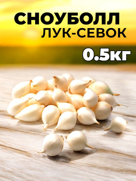 Лук севок для посадки на репку и зелень белый СНОУБОЛЛ купить на OZON ...