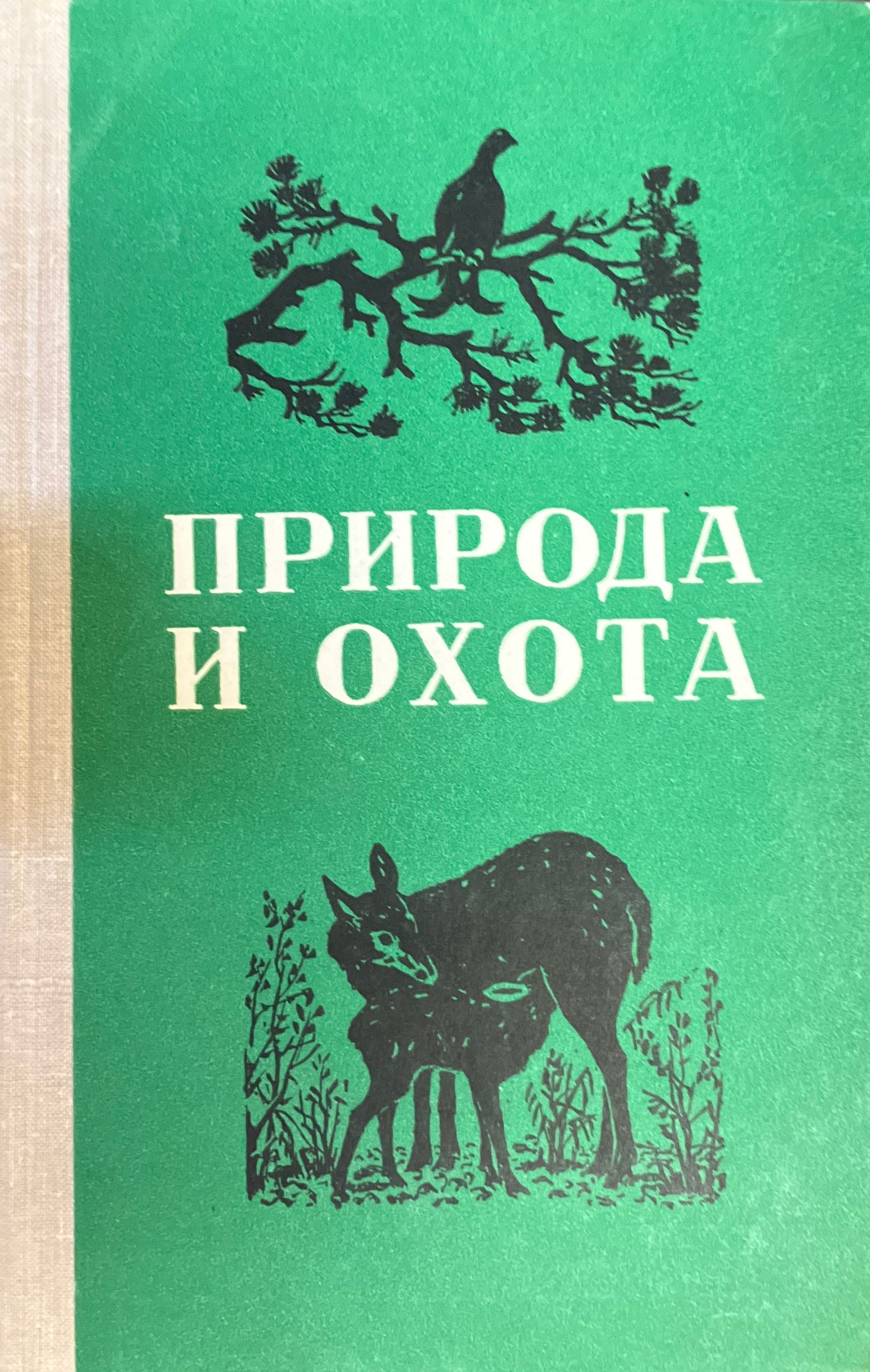 Охотминимум 2025 для получения охотничьего. Охотминимум 2025 для получения охотничьего