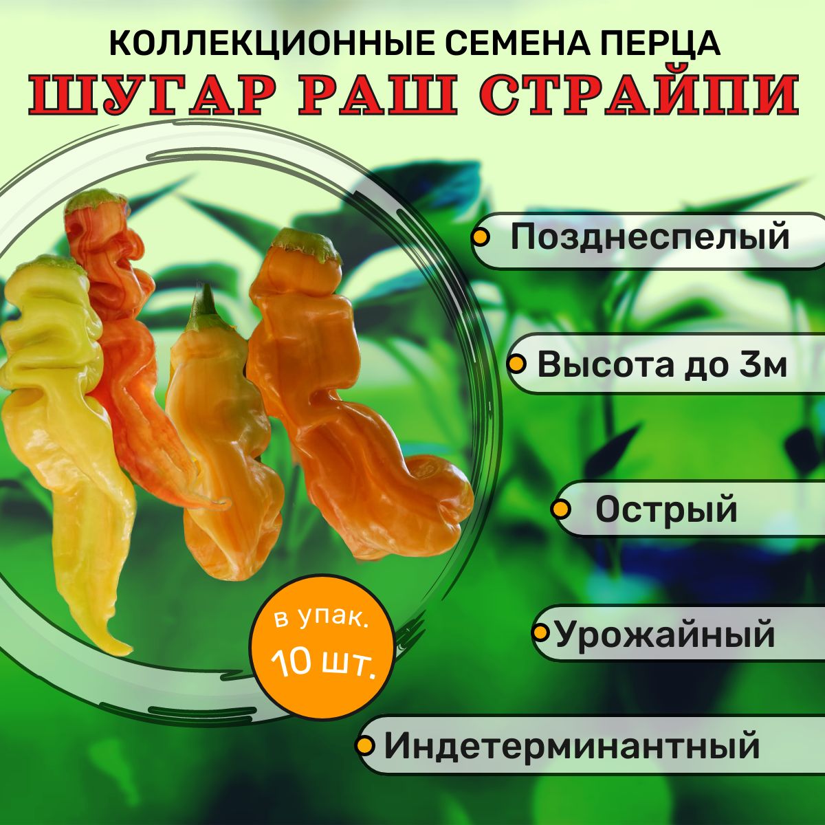 Перец Бикиньо Семена Купить