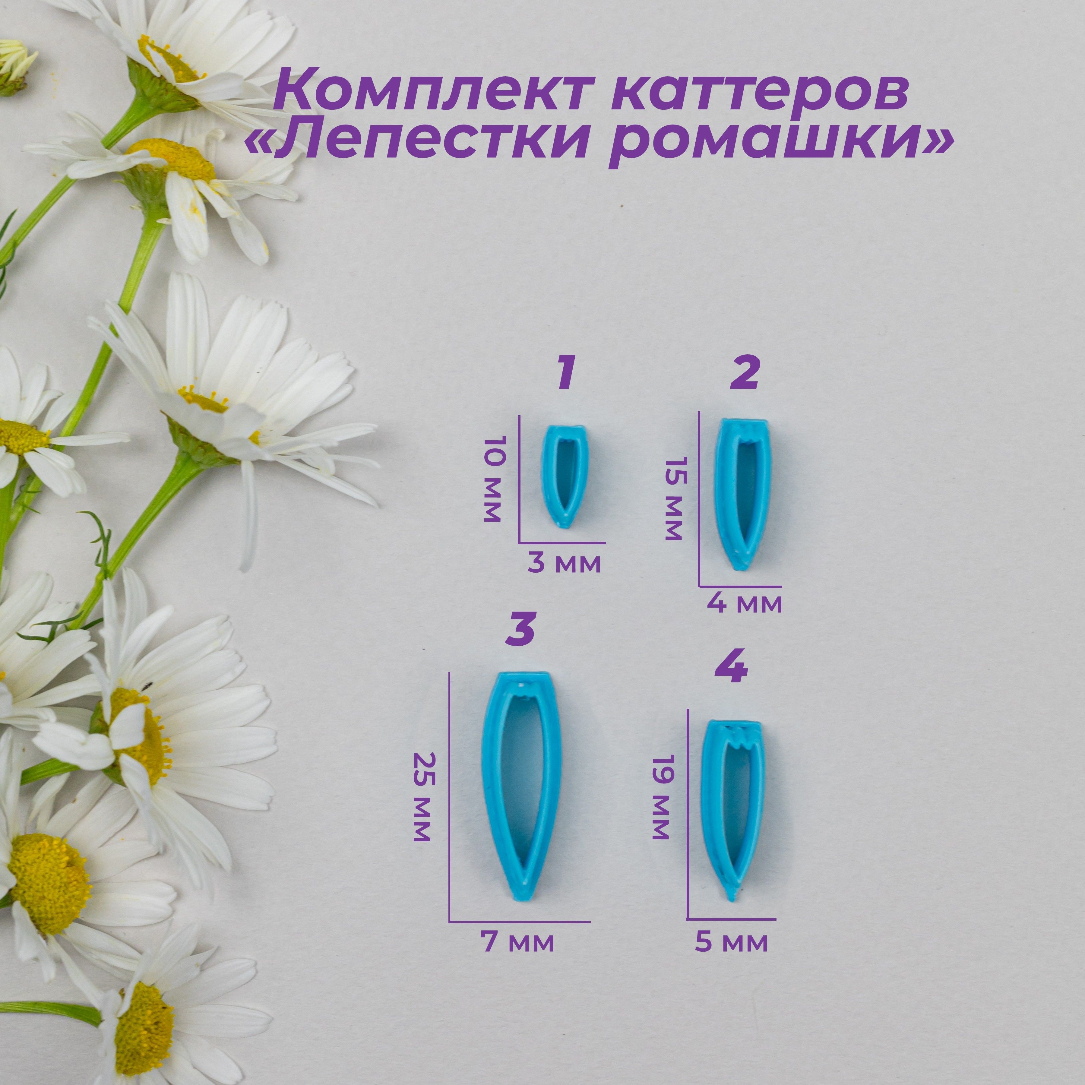 Лепесток от ромашки