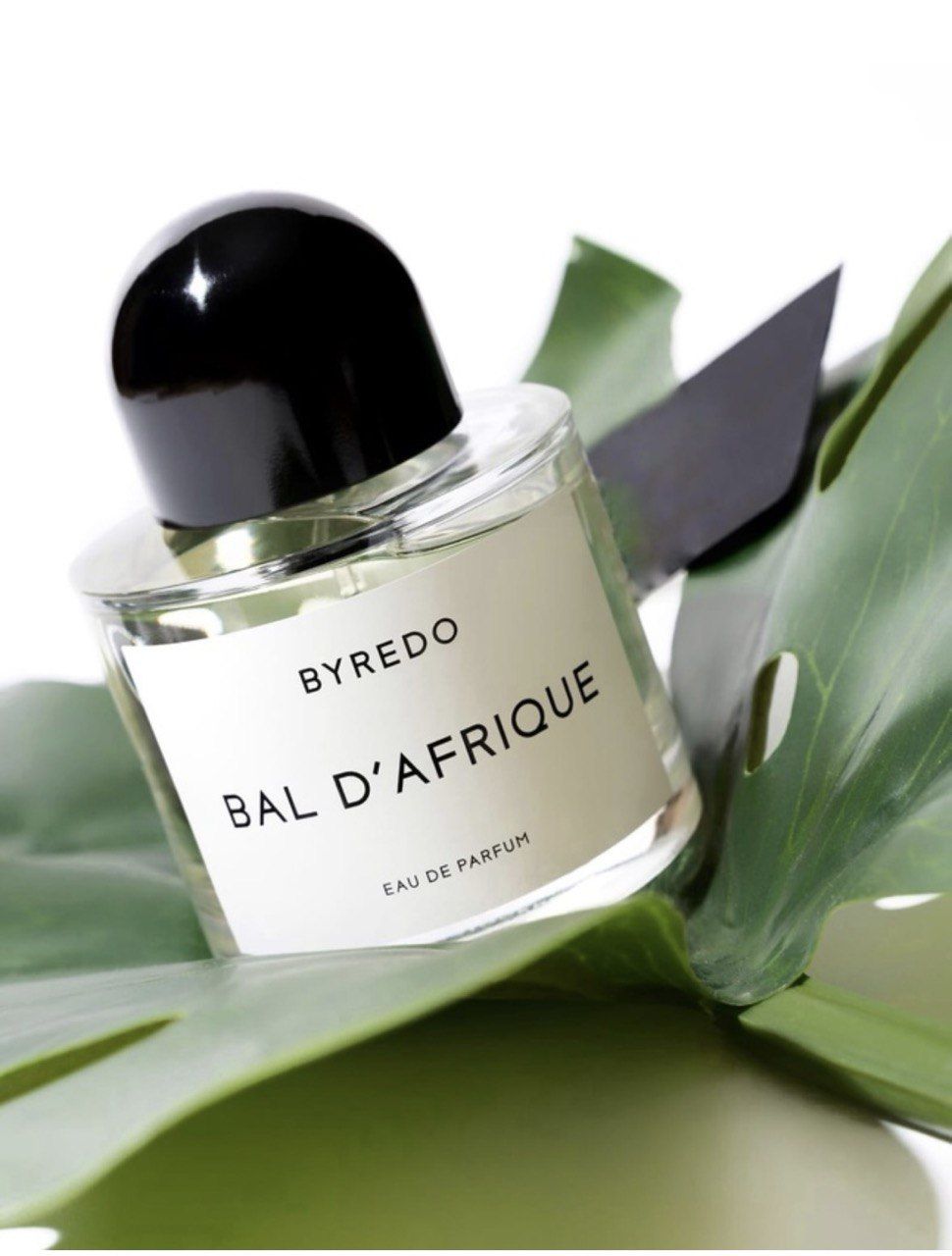 Byredo Bal d'Afrique кондиционер. Byredo Bal d'Afrique шампунь для волос. Attar Floral Musk. Buredo Blanche 50ml и 100мл рядом.