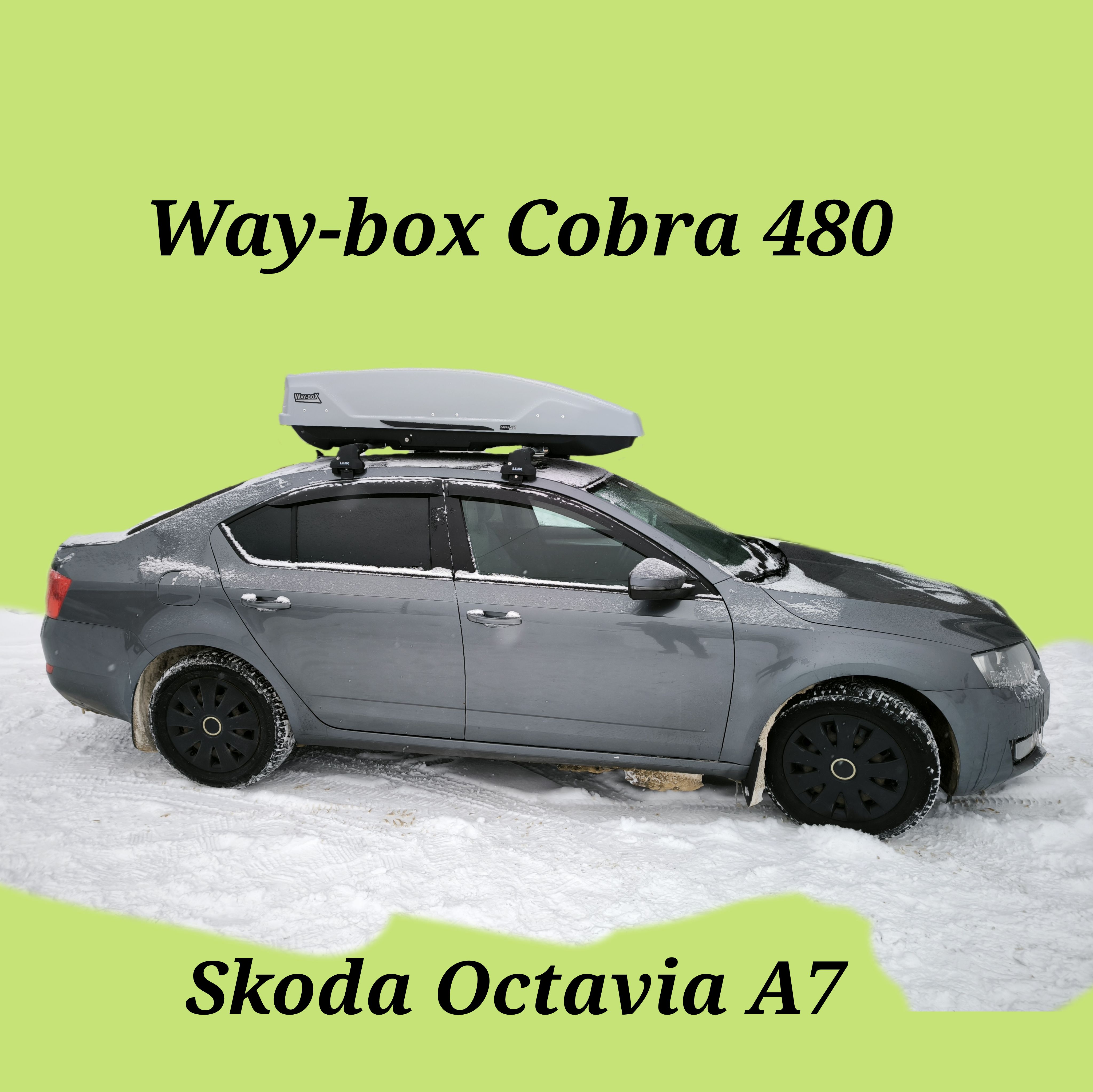 Way box cobra. Way box cobra