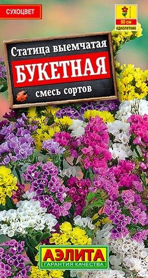 СТАТИЦА БУКЕТНАЯ. Семена. Вес. 0.1 гр. Популярный однолетник из группы сухоцветов. Известен также как лимониум (кермек) выемчатый.