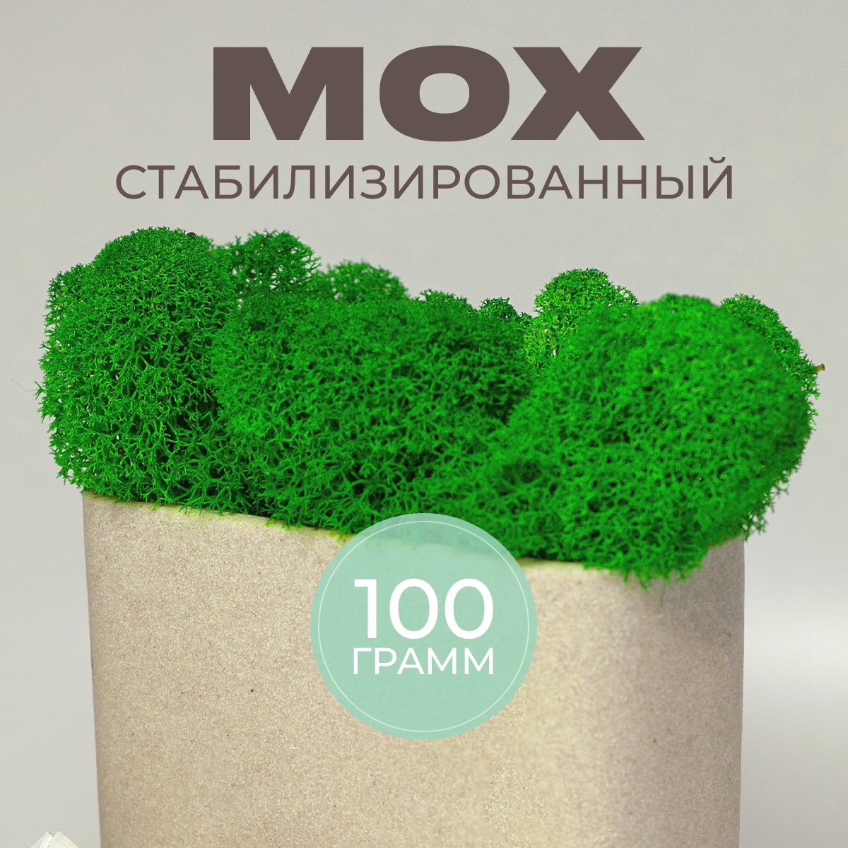 Стабилизированный мох ягель XL, 100 гр, зелёный