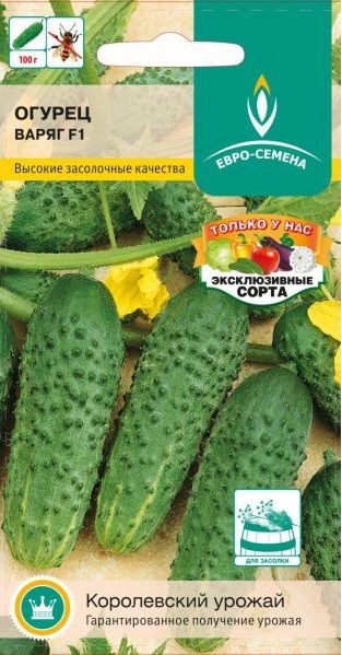 Огурец Абсолют F1, 10 семян Bejo Zaden 58487925 купить за 134 ₽ в интернет-магаз