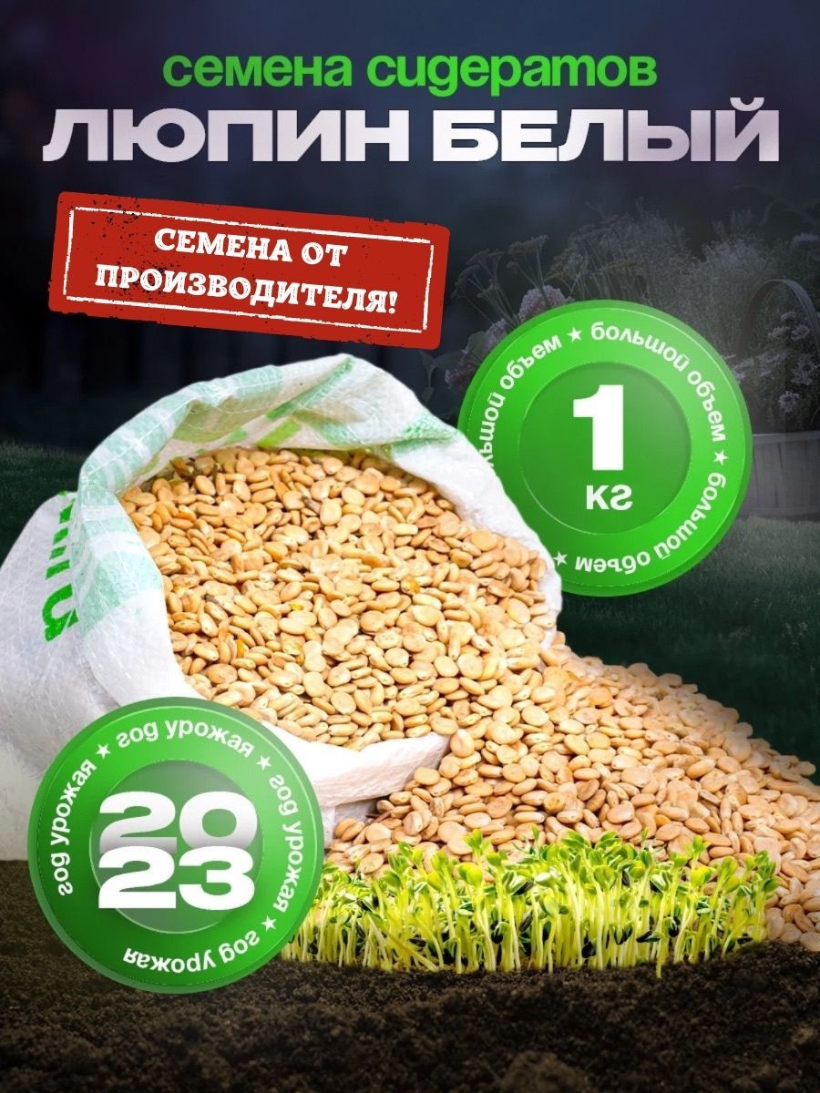 Купить Люпин Кормовой Семена