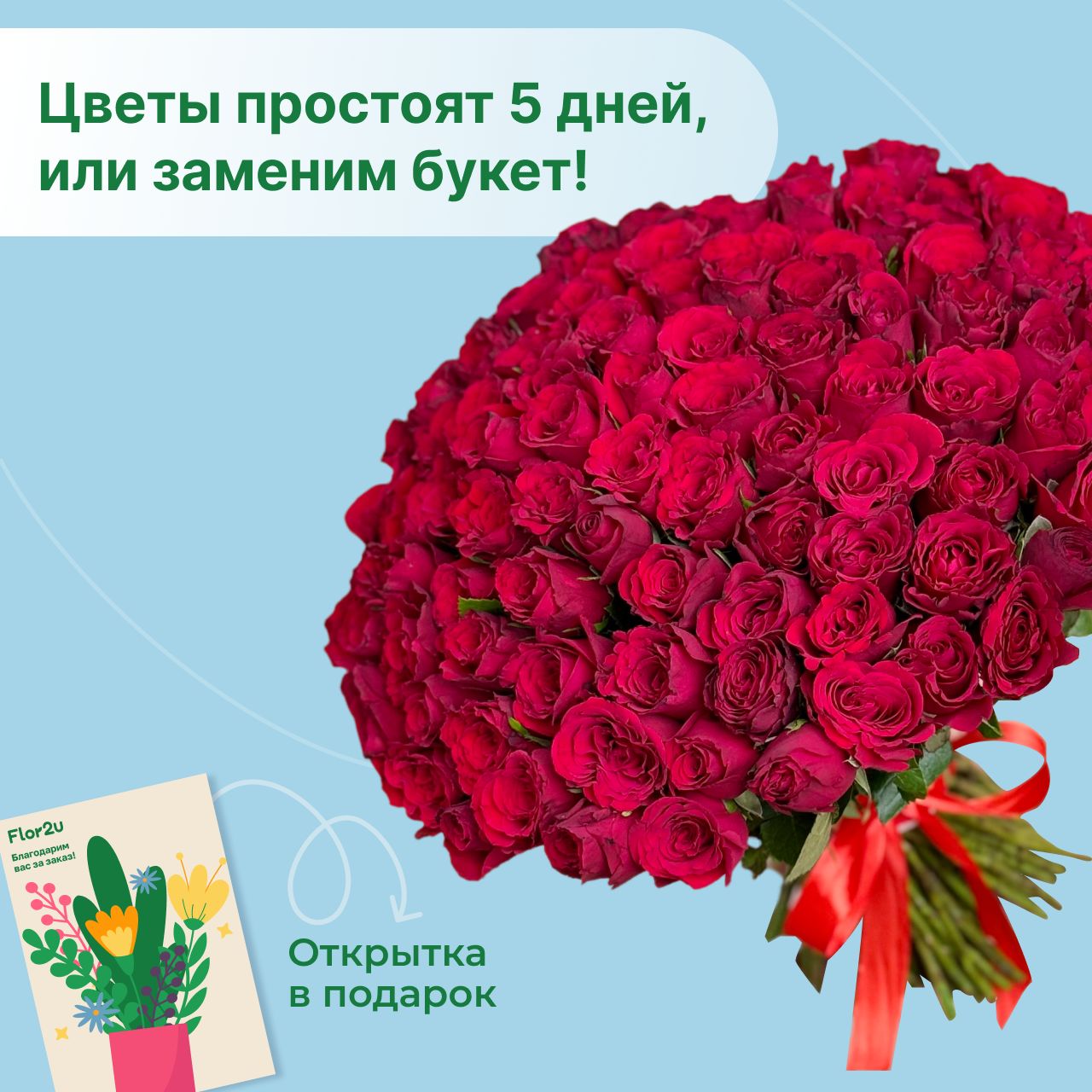 Цветы живые букет из 101 красной розы 35 см с атласной лентой Flor2u