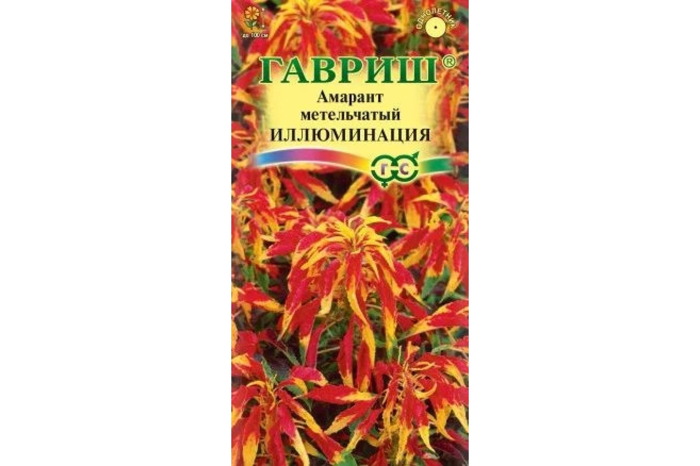 Амарант Растения Семенами Купить Семена