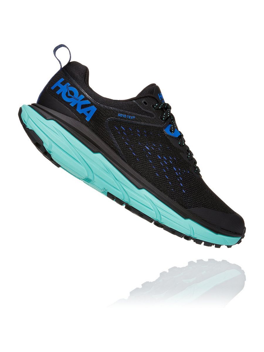 Challenger atr. Кроссовки hoka challenger 6. hoka atr 6. hoka challenger atr 5 gtx. hoka challenger atr 6 мужские.