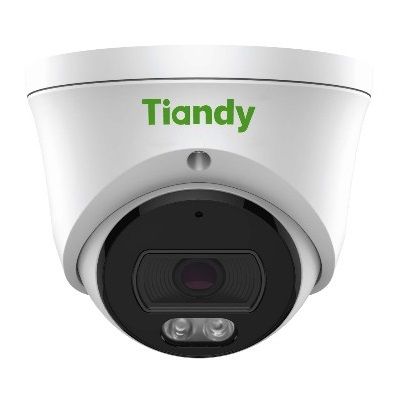 IP камера с микрофоном и PoE Tiandy AK TC-C320N 2 Мп купольная