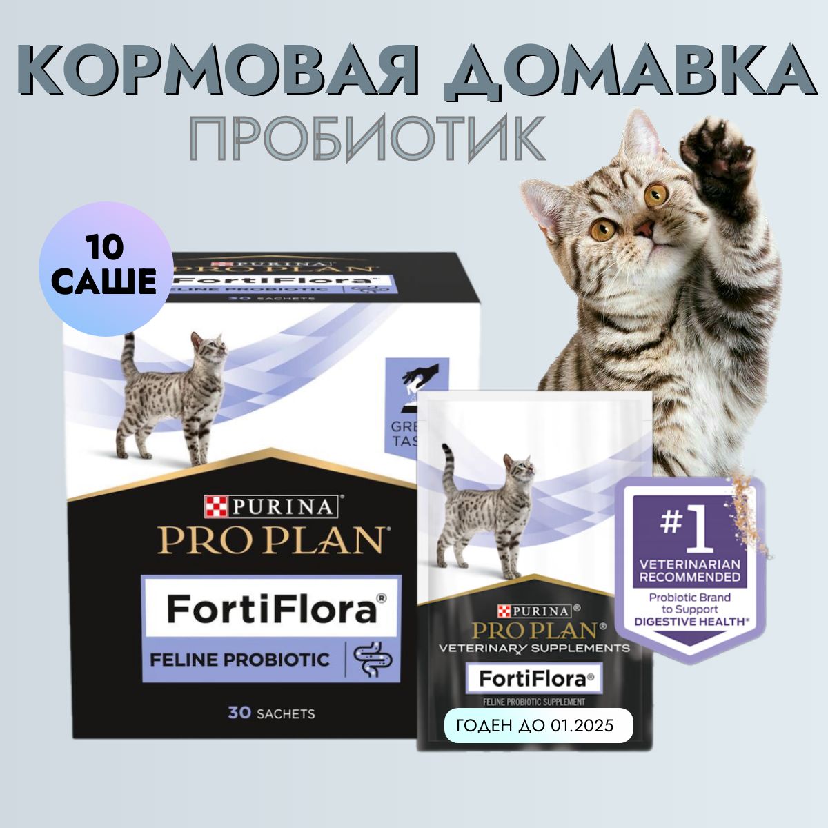 Фортифлора Для Собак Купить В Твери