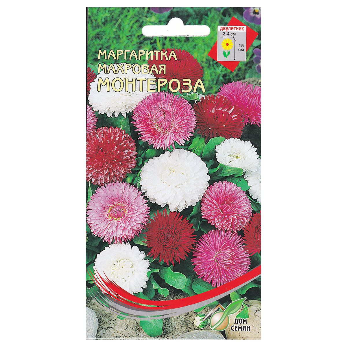 Маргаритки Семена Купить