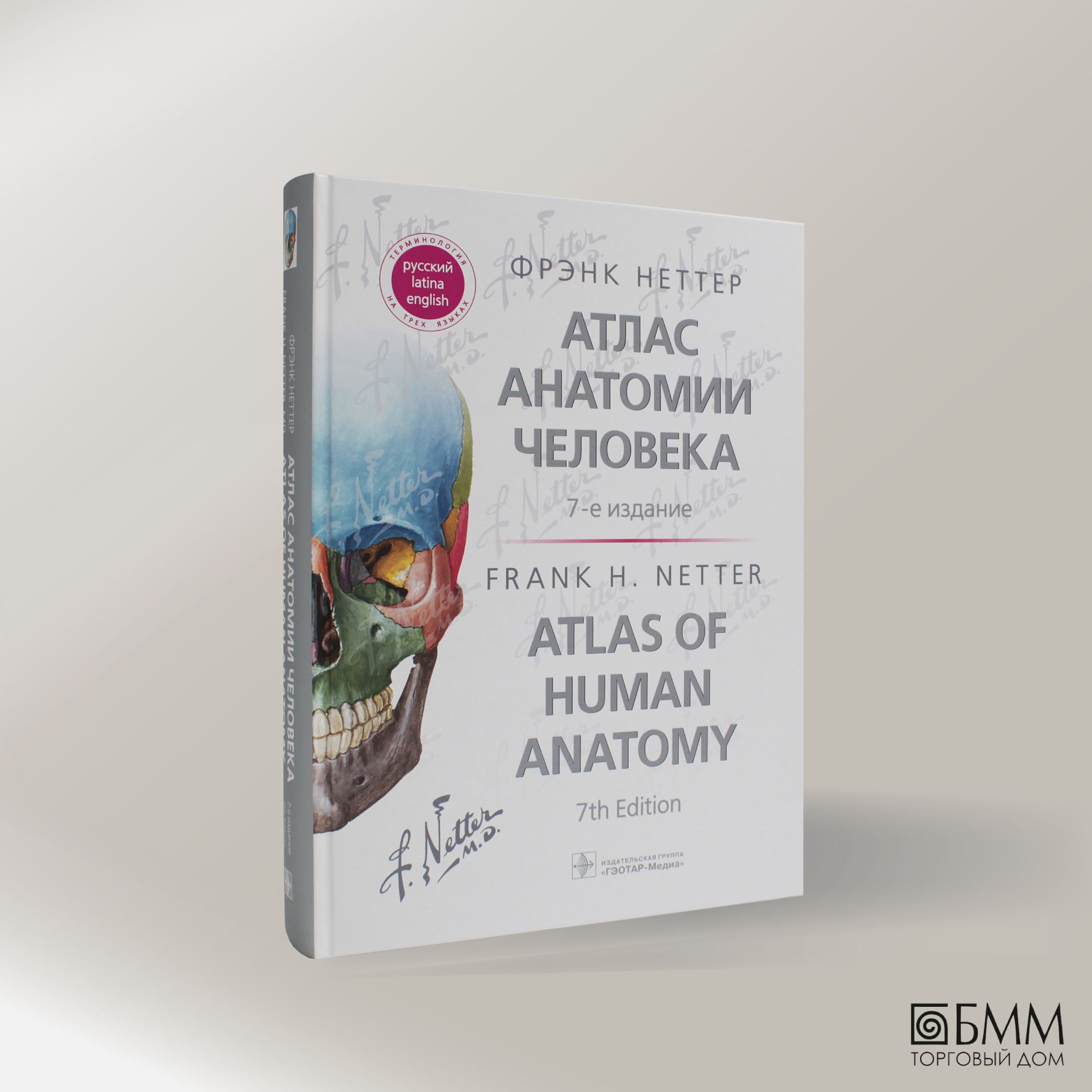 Атлас анатомии человека: терминология на русском, латинском и английском  языках. 7-е изд | Неттер Фрэнк - купить с доставкой по выгодным ценам в  интернет-магазине OZON (539936324)