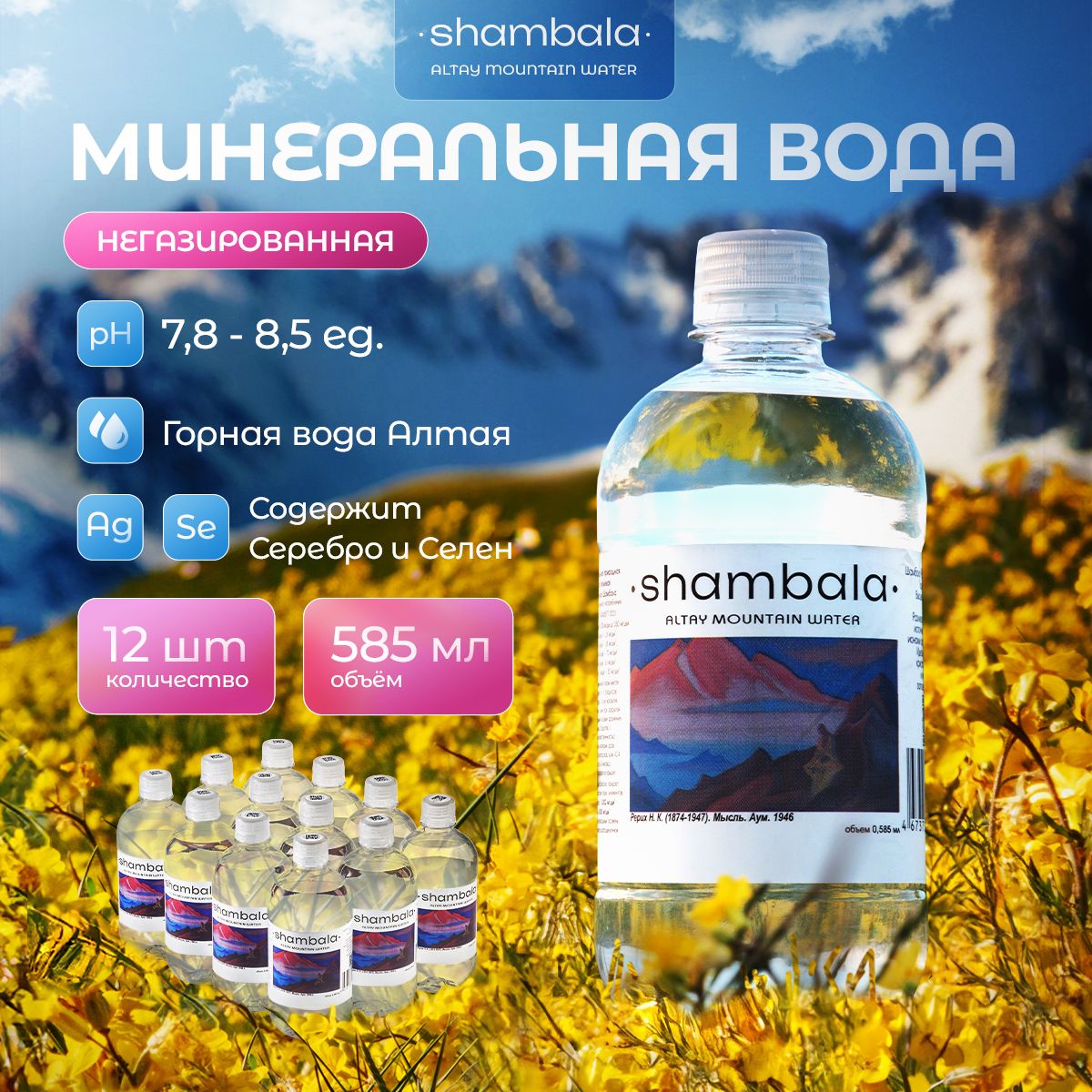 ВодаминеральнаяШамбаланегазированная585мл.12шт.