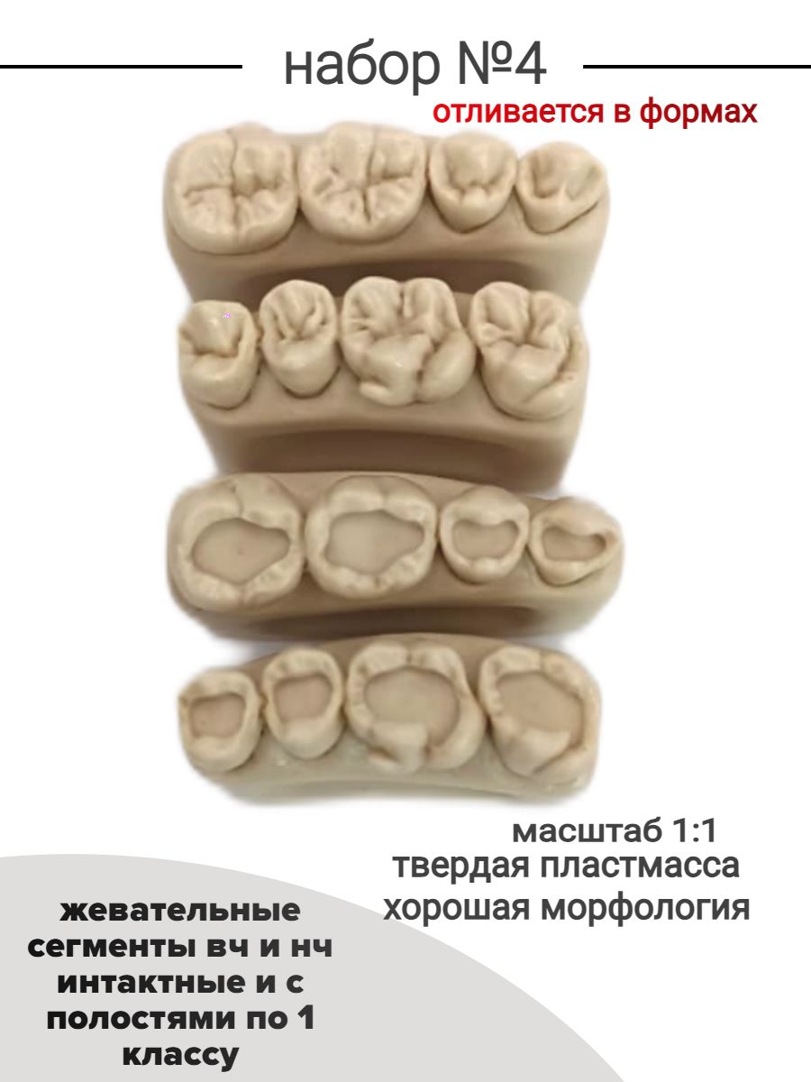 Набор №4 Зубы учебные для реставрации, стоматологический фантом. Жевательные сегменты верхней и нижней челюсти интактные и с полостями по 1 классу 4 шт