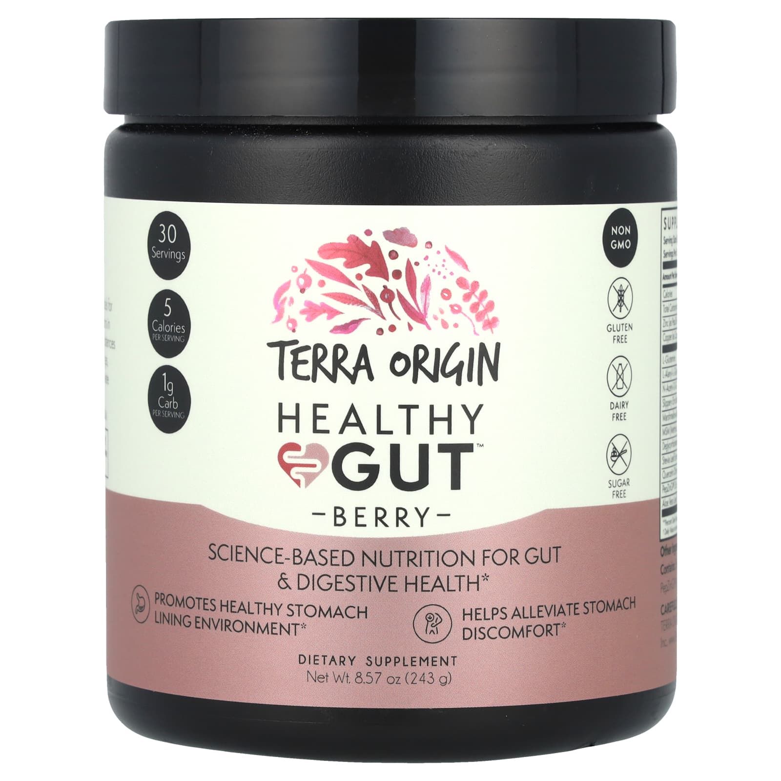 Terra Origin Healthy Gut, Поддержка пищеварительной системы 243 грамм (Ягода)