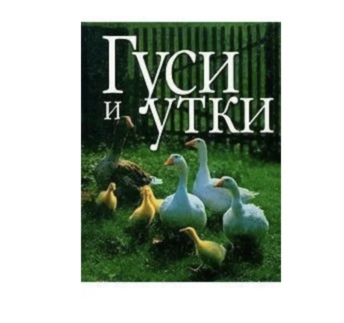 Гуси и утки