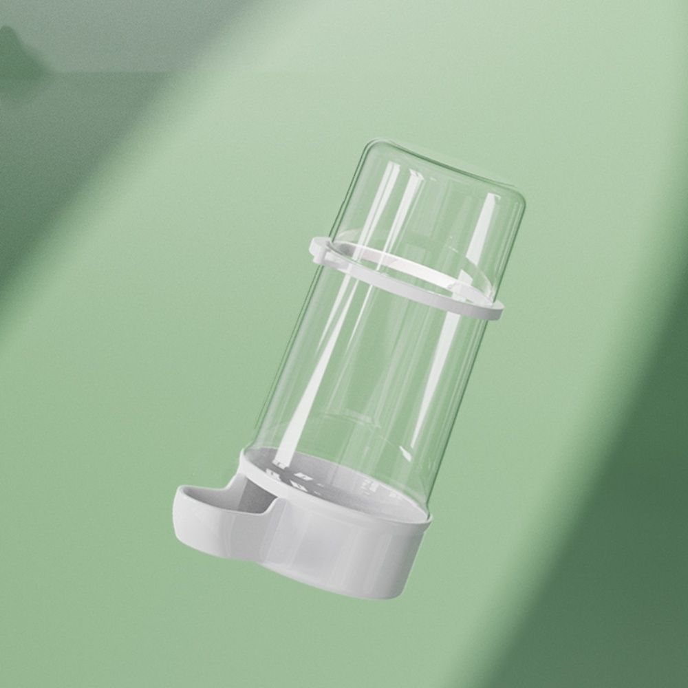 Птичий фонтанчик для питья автоматически запускается в воду