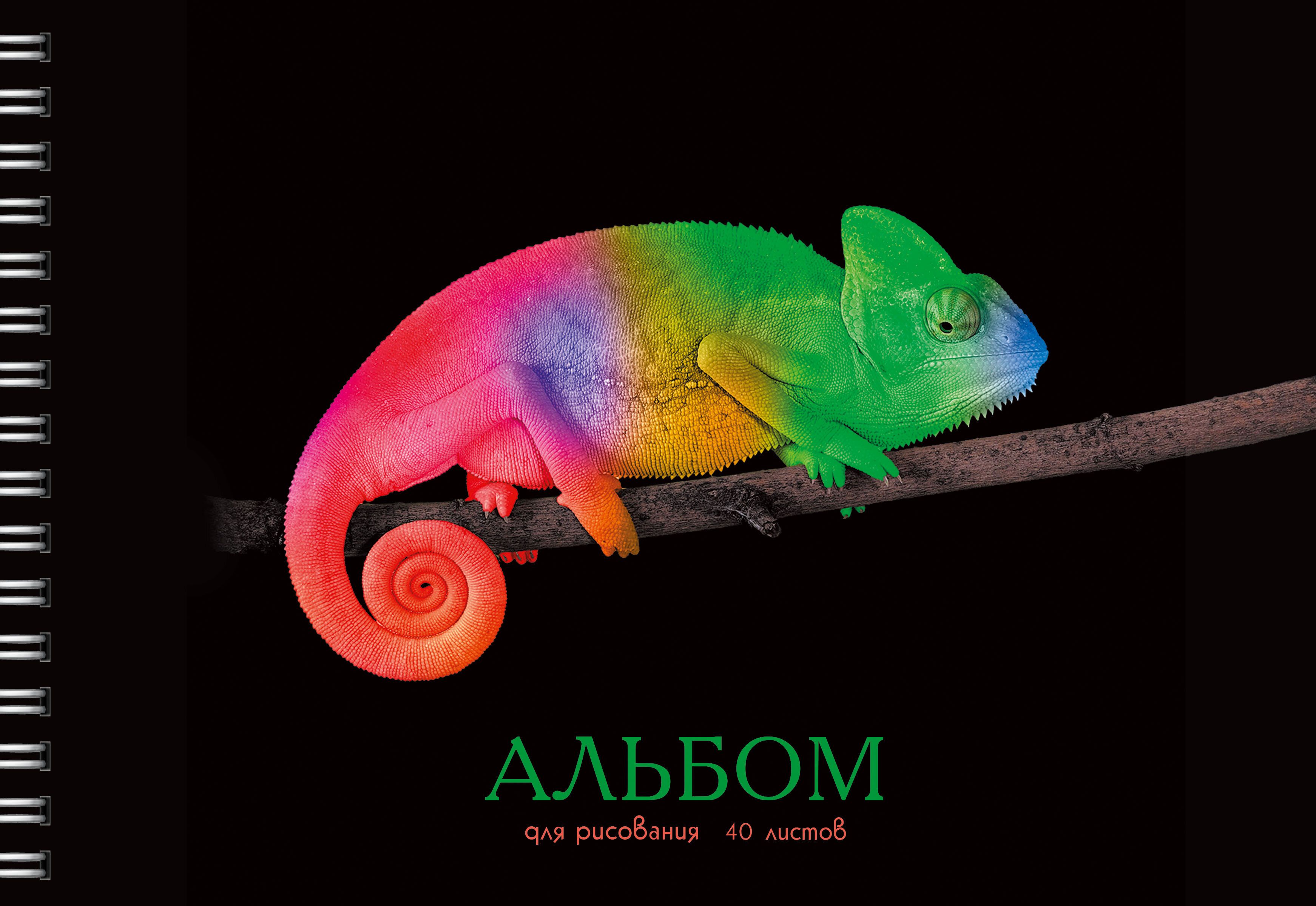 Хамелеон меняет цвет. Хамелеон. Хамелеон рептилия. Хамелеоны которые меняют цвет. Цвет хамелеон.