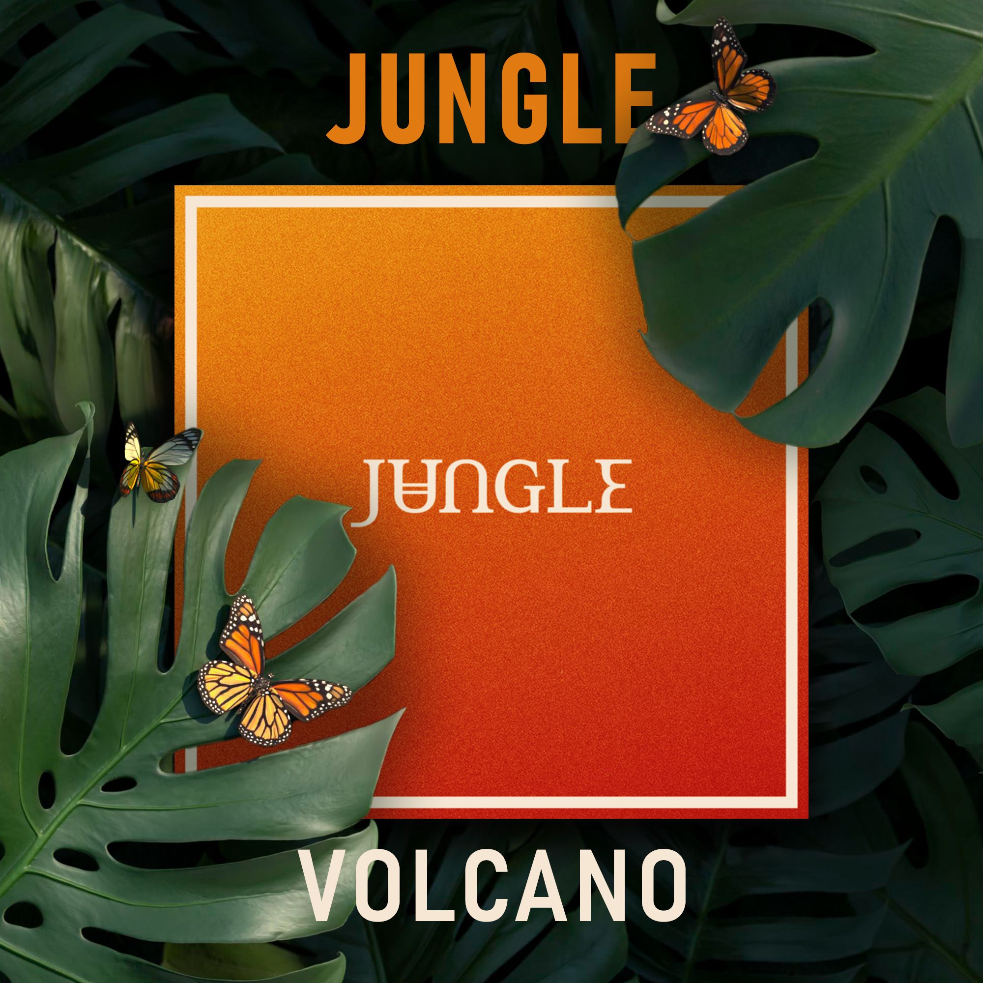 Виниловая пластинка Jungle - Volcano LP